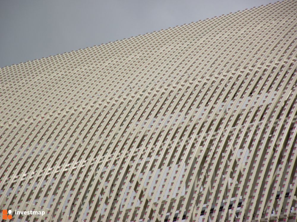 110658_1000x.jpg
