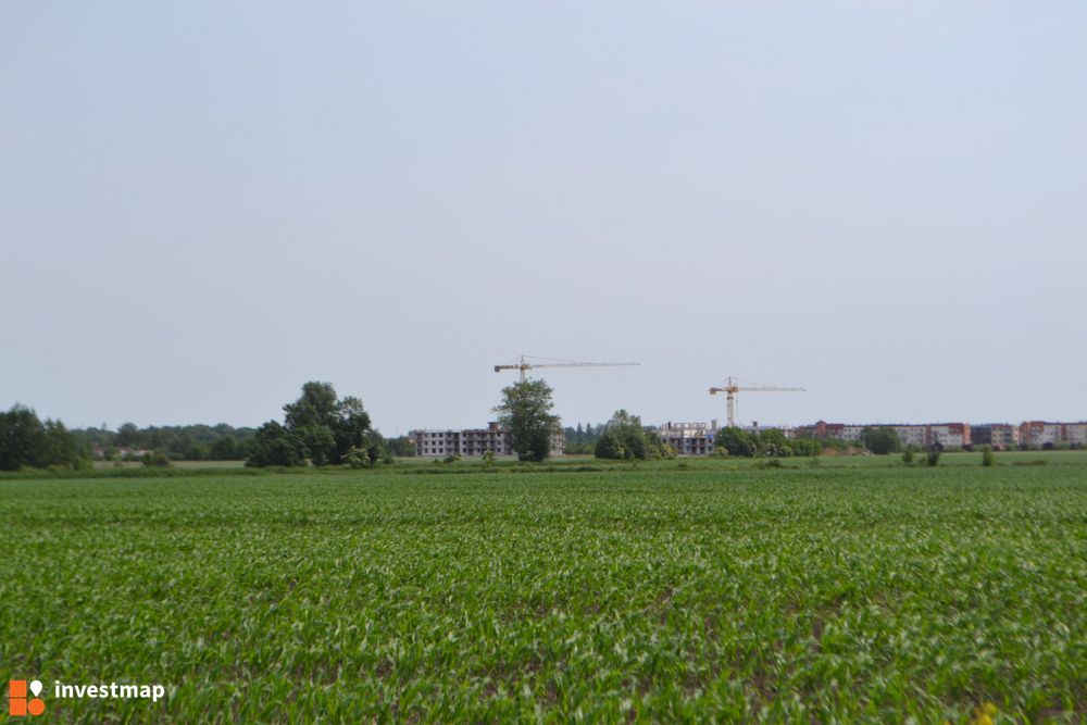168002_1000x.jpg