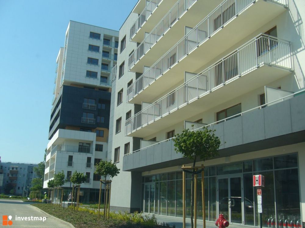 109892_1000x.jpg