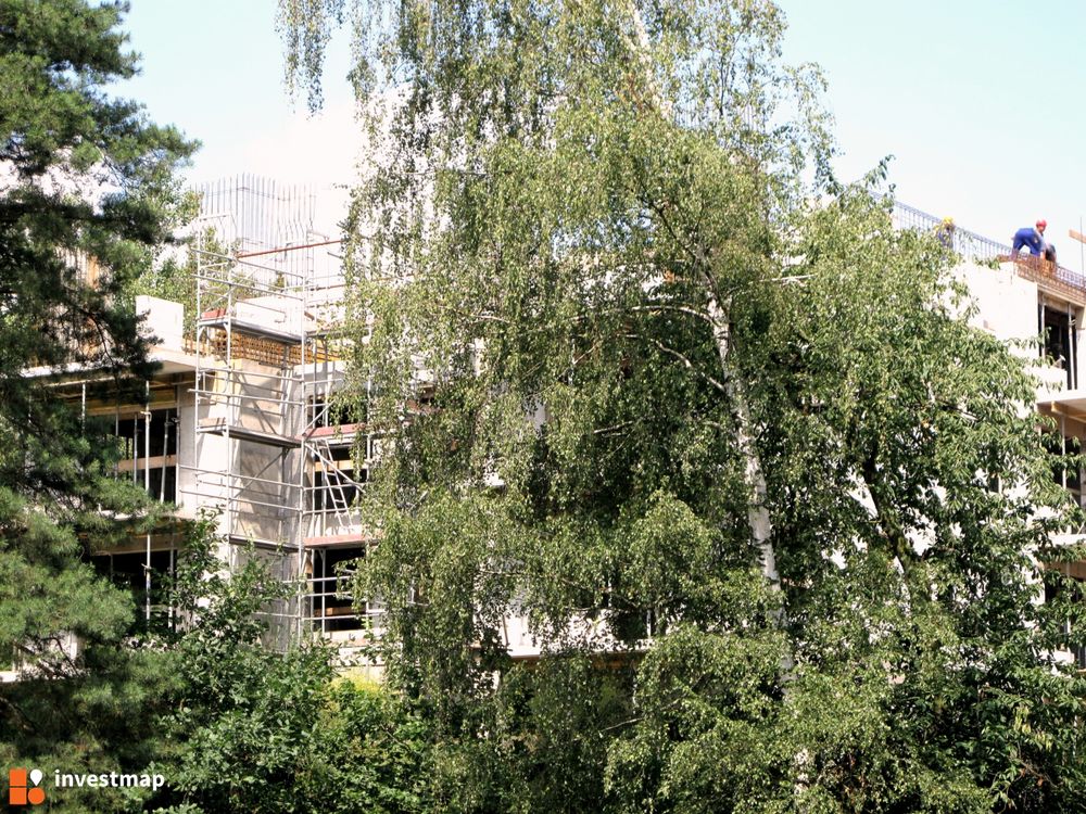 45382_1000x.jpg