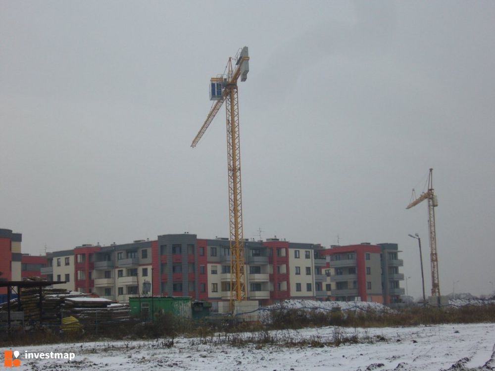 57416_1000x.jpg