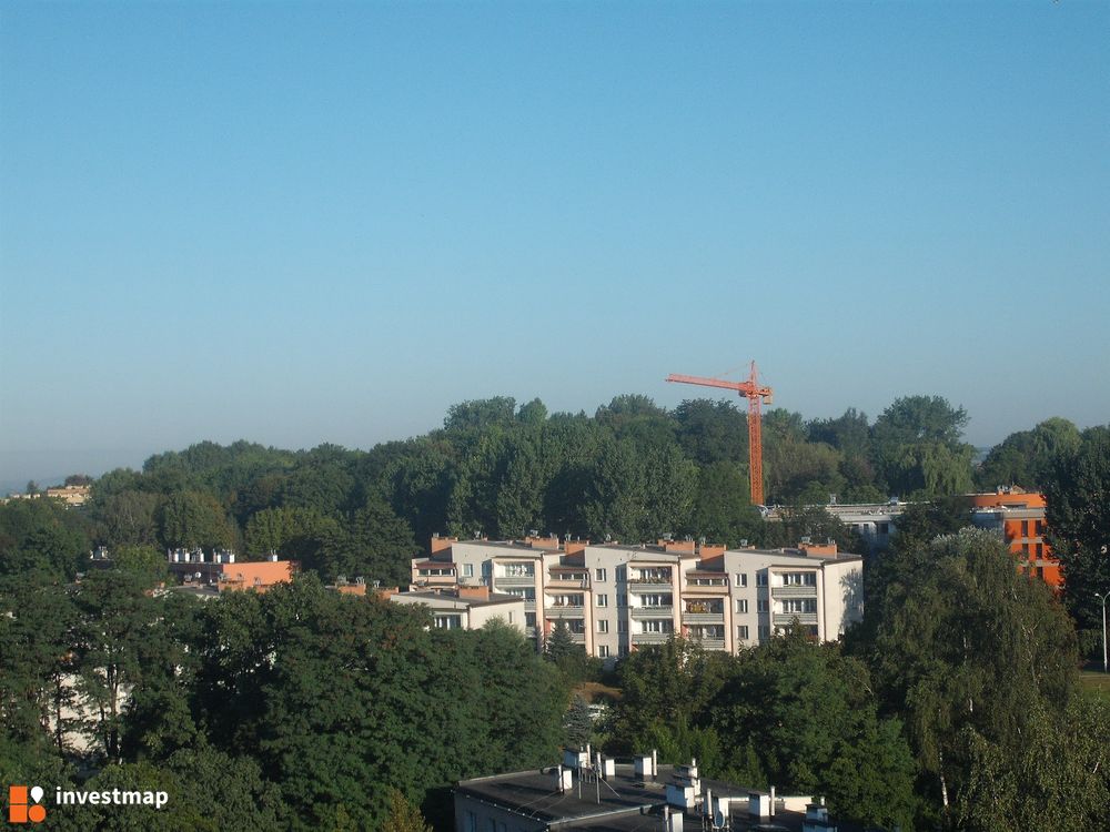 137035_1000x.jpg