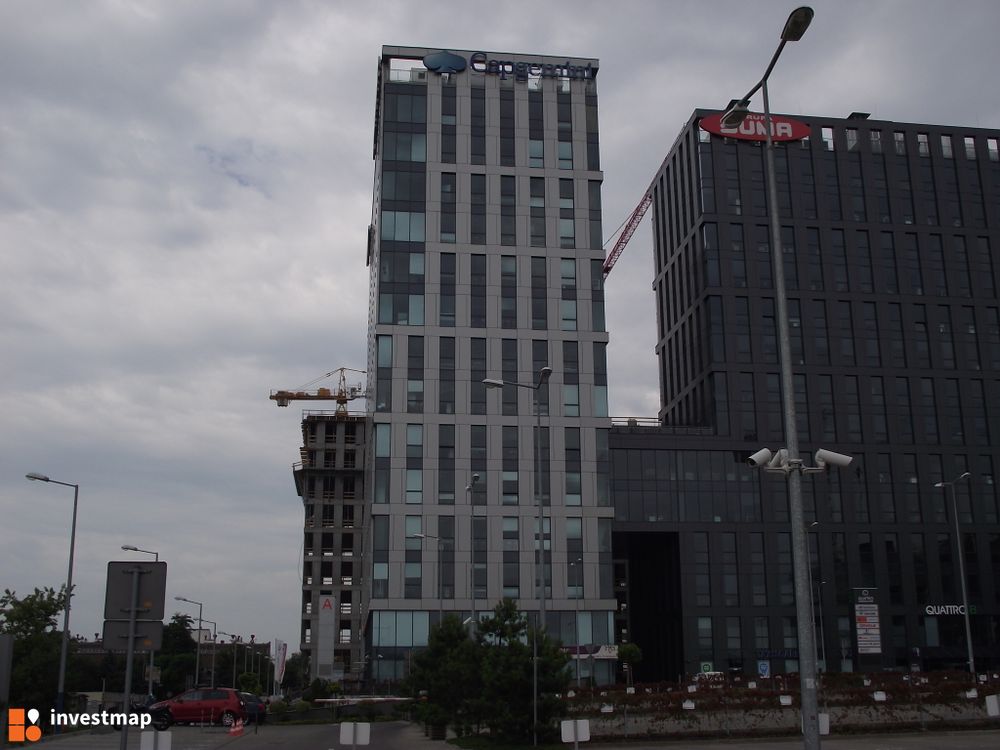 81227_1000x.jpg