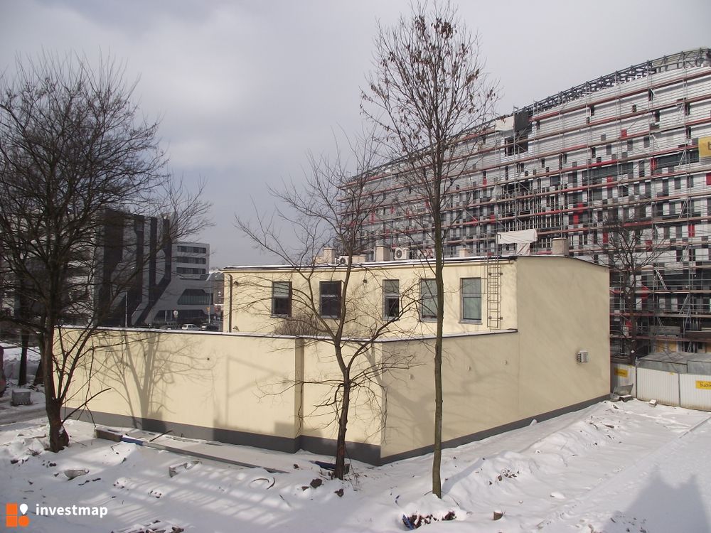 97611_1000x.jpg