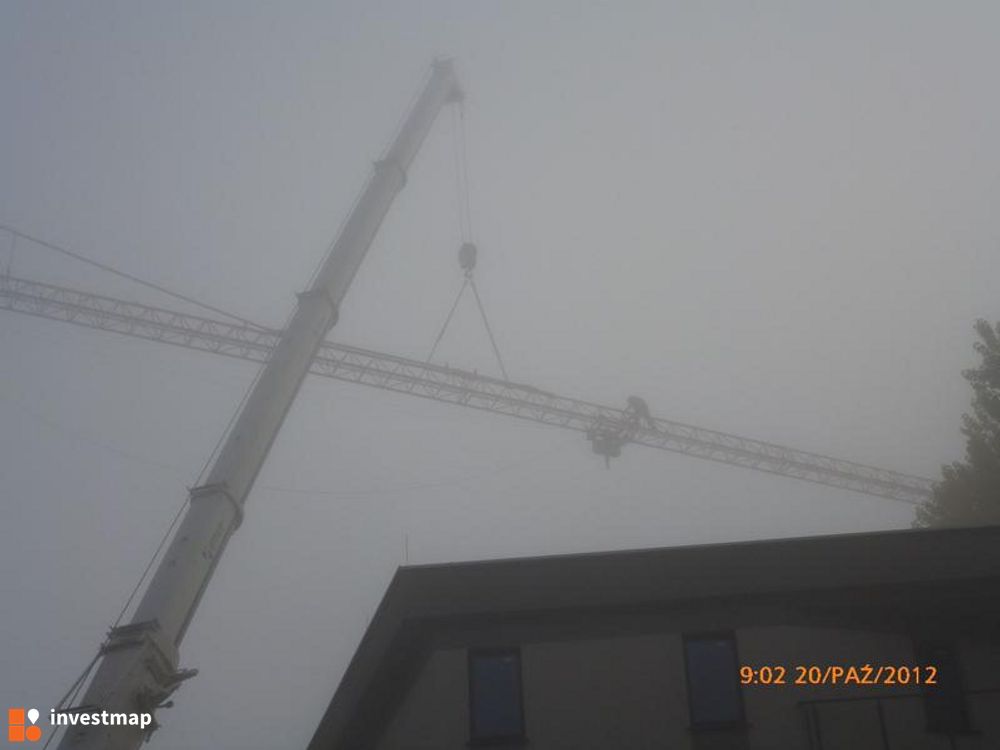 137037_1000x.jpg