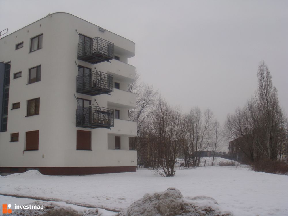 2640_1000x.jpg