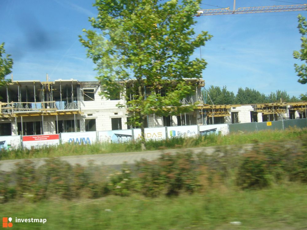 173652_1000x.jpg