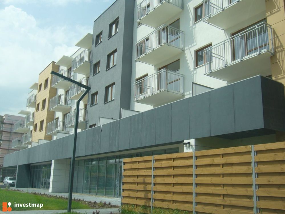 110167_1000x.jpg
