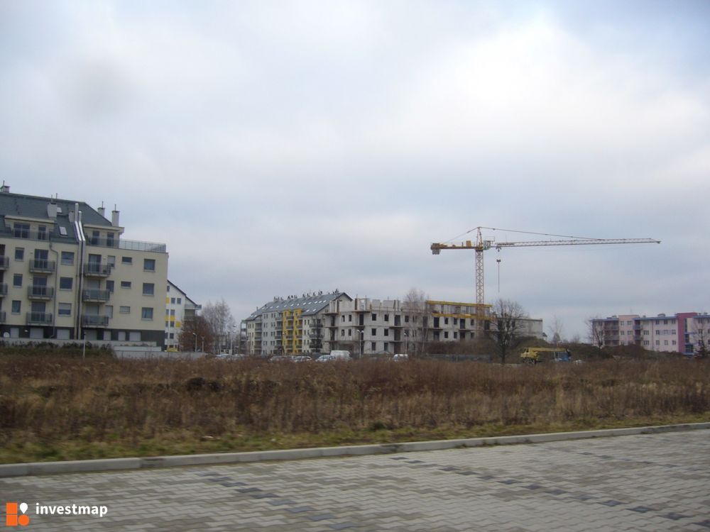 142167_1000x.jpg