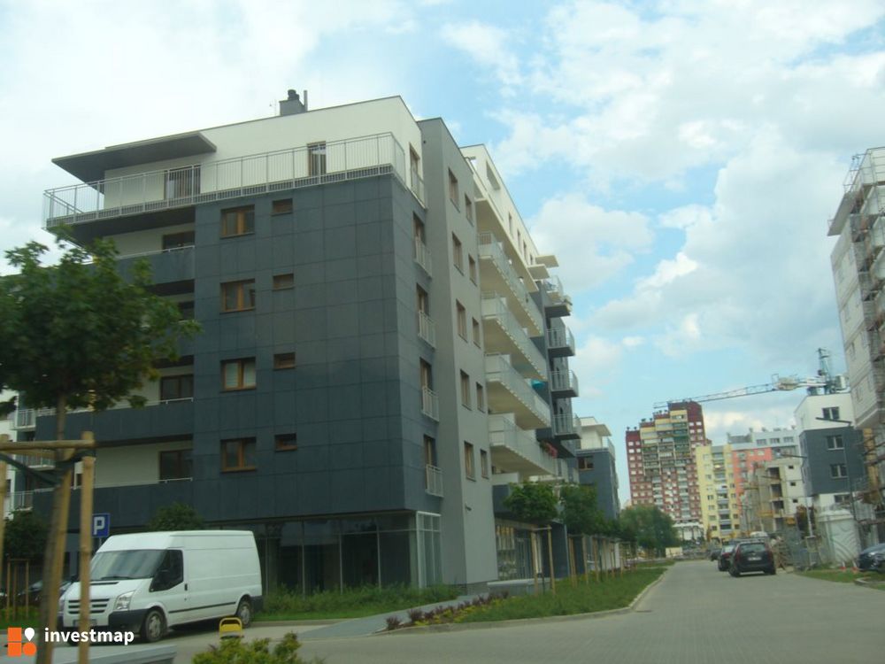 119561_1000x.jpg