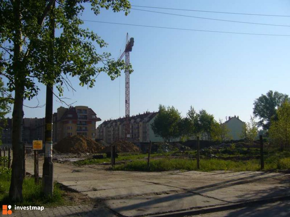 16475_1000x.jpg