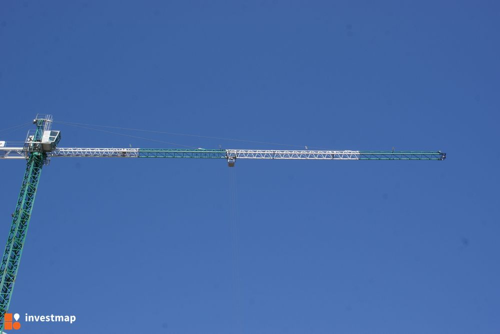 149085_1000x.jpg