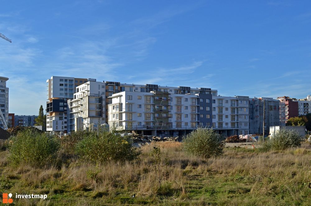87390_1000x.jpg