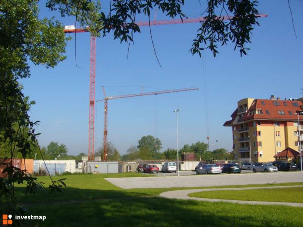 16479_1000x.jpg