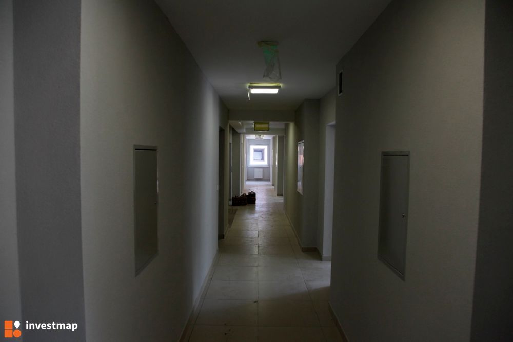 119393_1000x.jpg