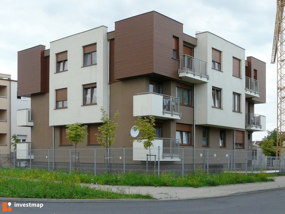 20065_1000x.jpg
