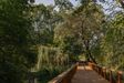Swojczycki Park "Czarna Woda" 447744