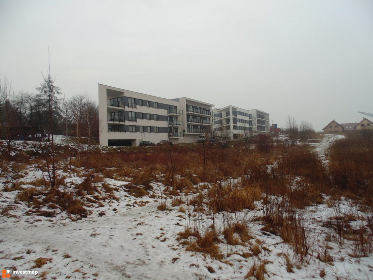 312164_1500x.jpg