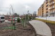 Młodnik 407396