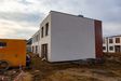 "Gardenia" 404837