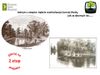 Swojczycki Park "Czarna Woda" 426856