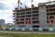Central Garden 475753