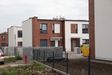 "Gardenia" 444522