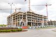Central Garden 475756