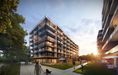 Wyspa Solna 462189