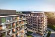 Wyspa Solna 462190