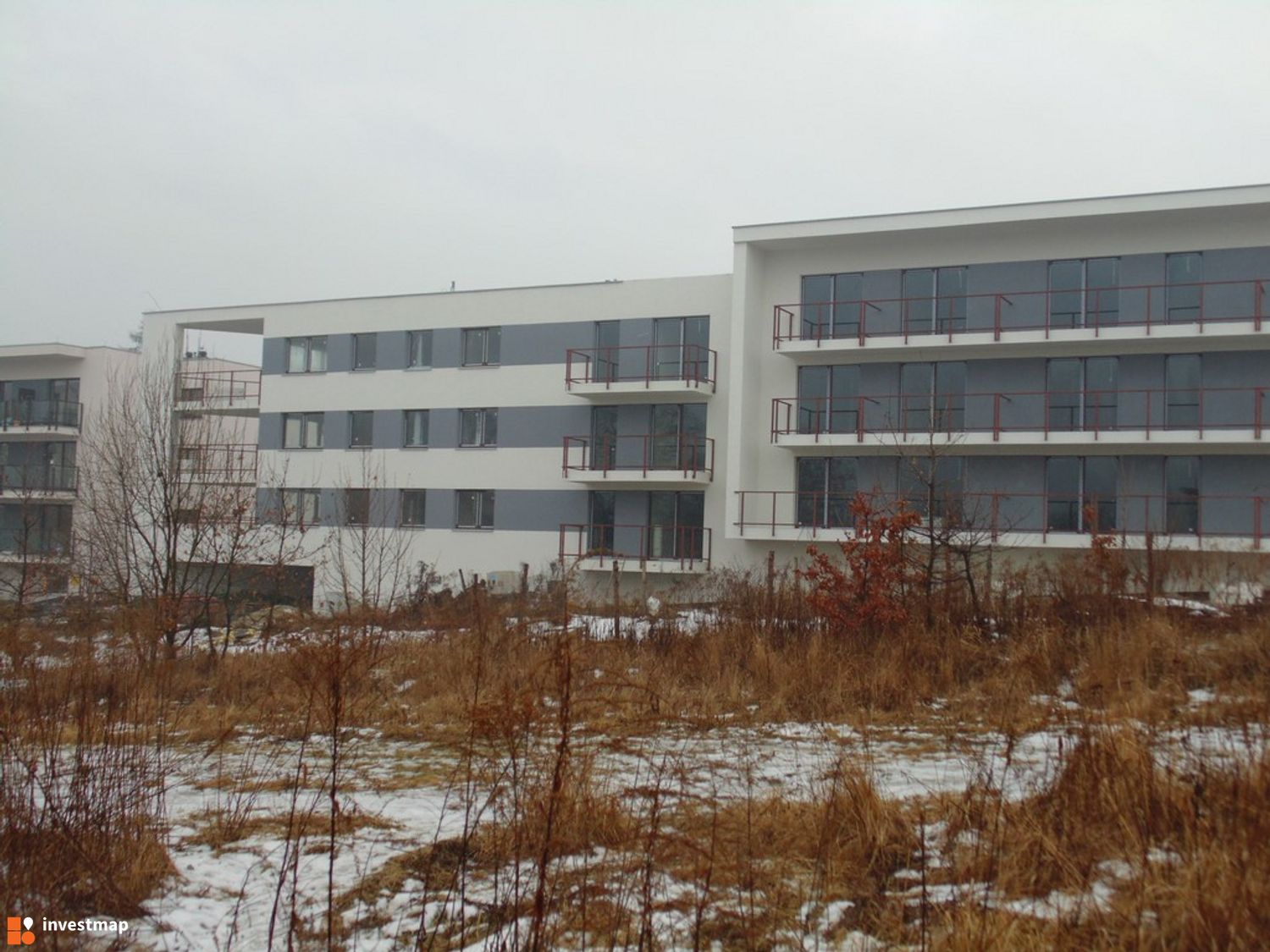 312175_1500x.jpg