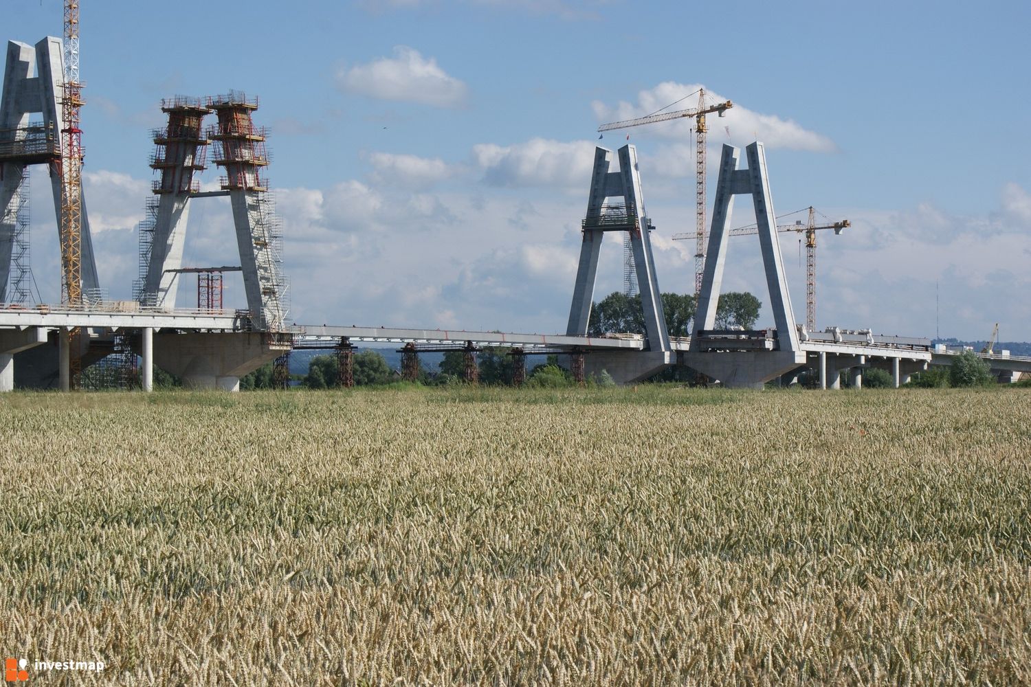 266357_1500x.jpg
