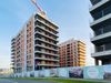 Central Garden 498188