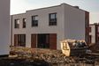 "Gardenia" 414844