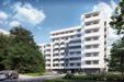 Aura Home 466304