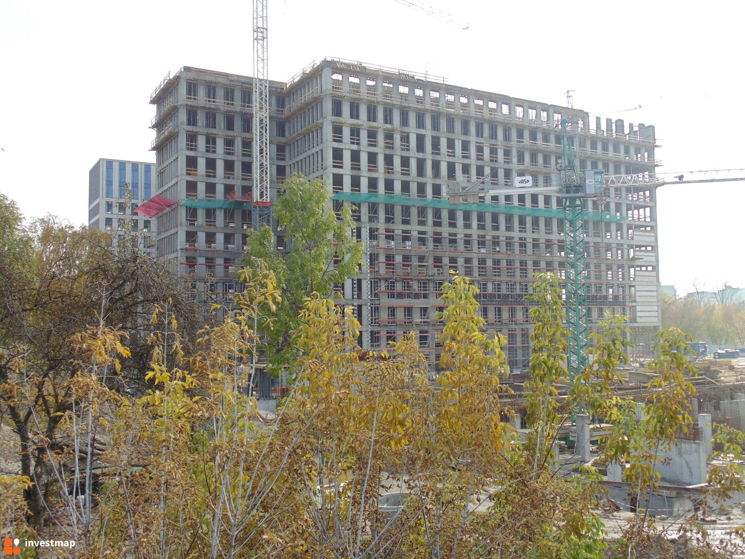 293133_1500x.jpg