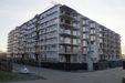 Botanika 460931