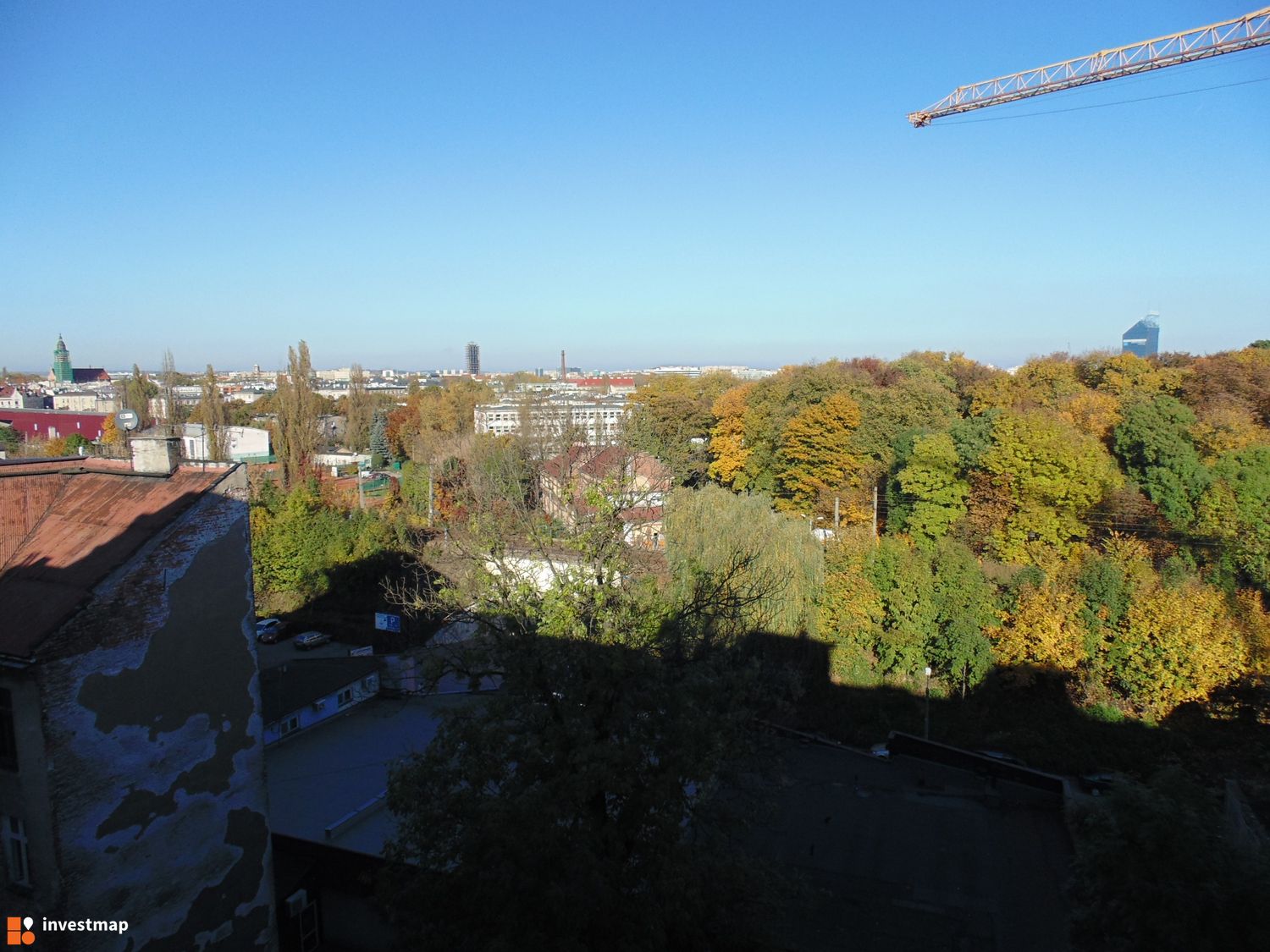 293646_1500x.jpg