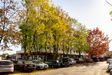 Rosarium 399503