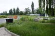 Brain Park 480408