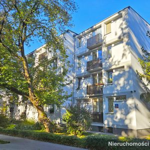 [T37552] Brazylijska 22A, 684201