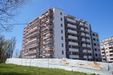 Aura Home 514833
