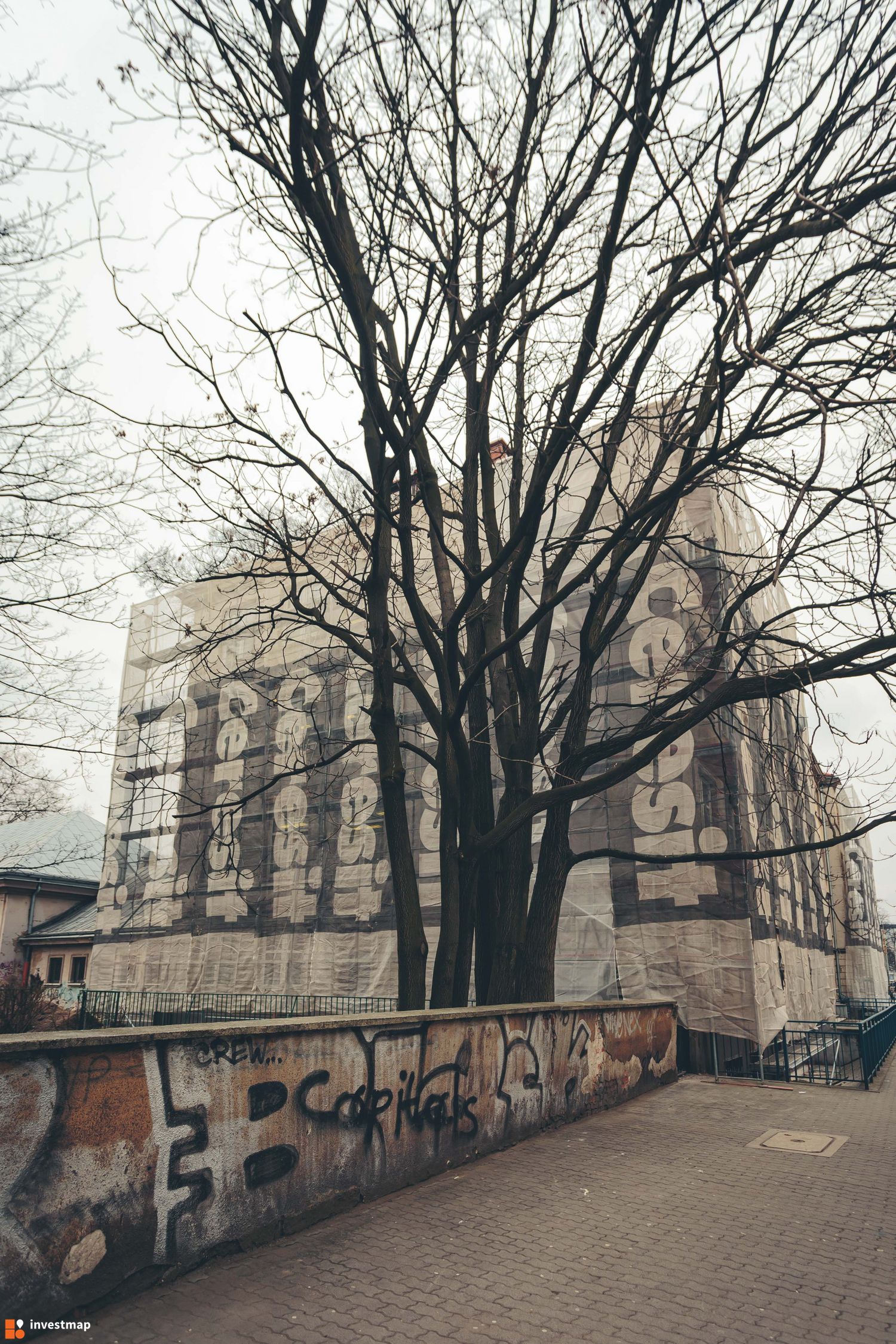 312750_1500x.jpg