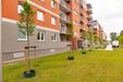 Forma 430774