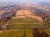 Zielony Zajączków 499642