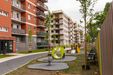 Forma 430786