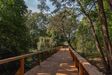 Swojczycki Park "Czarna Woda" 447746