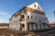 Zielony Brochów 462338