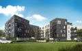 Florentyny 5 459208