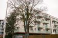 "Rosarium" 360395